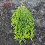 Artificial Foliage Manufacturer - DC109 Dalian Chermy Wholesale Soft Plastic Hanging Greenery