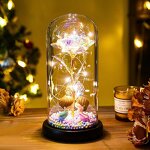 Galaxy Rose Manufacturer - Bella Y Bestia in Glass Dome for Valentine's Day Mother's Day Gift