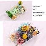 Dried Flower Material Manufacturer - Hot Sale Preserved Natural for Aromatherapy Candle