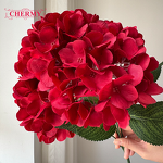 Artificial Hydrangea Manufacturer - High Quality 5 Heads Silk Red for Home Wedding Event