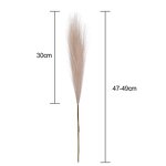 Artificial Pampas Grass Manufacturer - 2022 Best Selling Natural Real Beige for Home Decor