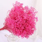 Dried Babysbreath Flower Manufacturer - Preserved Gypsophila for Wedding
