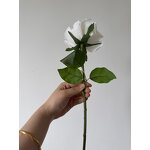 Artificial Rose Manufacturer - Dalian Chermy New Arrival Real Touch White Latex Medium Size