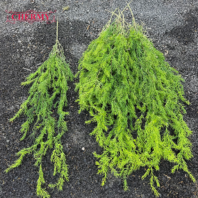 Artificial Foliage Manufacturer - DC109 Dalian Chermy Wholesale Soft Plastic Hanging Greenery