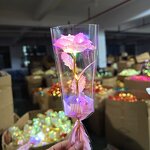 Plastic Rose Manufacturer - Exquisite Colorful Gold with Transparent Packaging for Home Decoration Gift