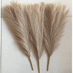 Artificial Pampas Grass Manufacturer - 7 Forks 45cm for Wedding Decor
