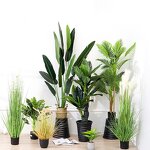 Artificial Palm Tree Manufacturer - Potted for Indoor Decoration