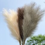 Artificial Pampas Grass Manufacturer - Hot Sale for Wedding Flowers Decoration
