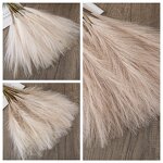 Artificial Pampas Grass Manufacturer - 2022 Best Selling Natural Real Beige for Home Decor