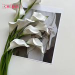 Artificial Calla Lily Manufacturer - TH1565 EVA Flower Realistic Stem for Wedding & Interior