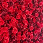 Artificial Flower Wall Backdrop Manufacturer - Custom 2m*2.4m Red Rose Heart Shape for Wedding Party