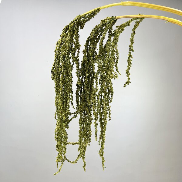 Artificial Hanging Rice Flowers Manufacturer - TH1530 Long Stems White Green Wedding Hang Flower