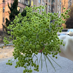 Artificial Baby's Breath Manufacturer - Good Quality Real Touch Latex White for Wedding Arrangement