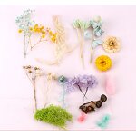 Dried Flower Material Manufacturer - Hot Sale Preserved Natural for Aromatherapy Candle