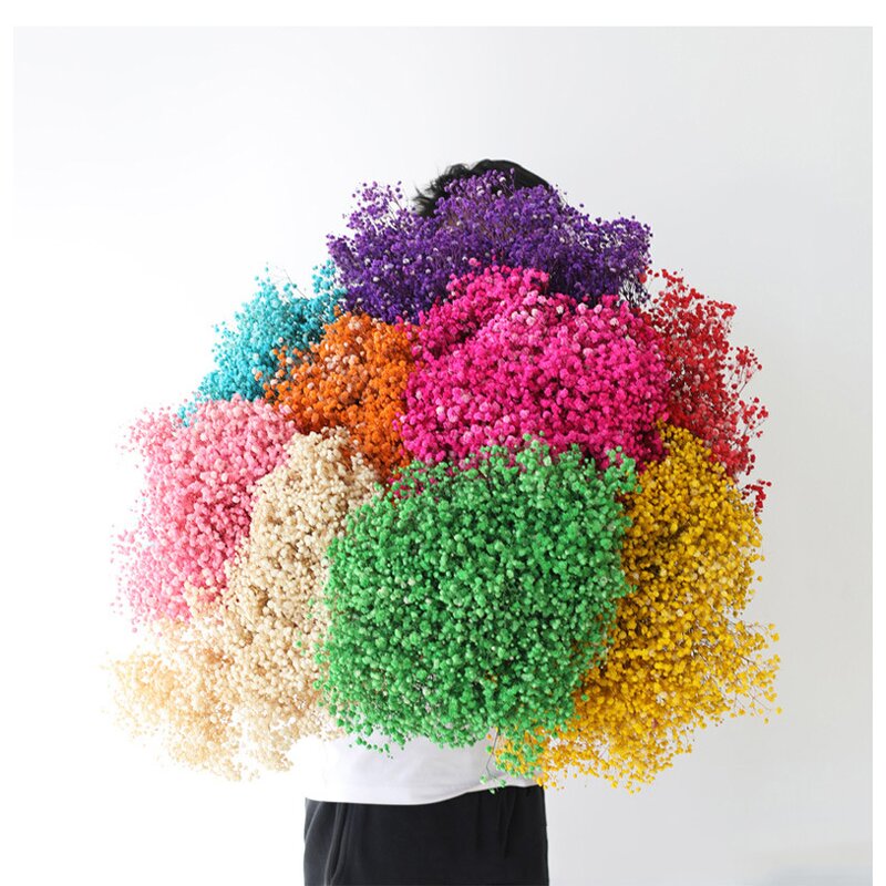 Dried Babysbreath Flower Manufacturer - Preserved Gypsophila for Wedding