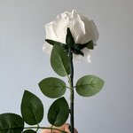 Artificial Rose Manufacturer - Dalian Chermy DC086 Single Head Beige Silk Wedding Floral