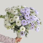 Artificial Ranunculus Manufacturer - TH1497 Wholesale High End Simulation 6 Heads Silk White Pink Mini