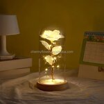 Rose in Glass Dome Manufacturer - Valentine's Day Novelty with Led Light and Gift Box