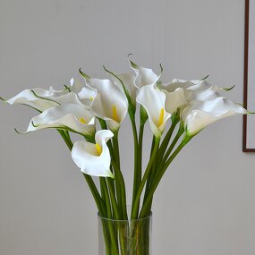 Artificial Calla Lily Manufacturer - TH1225 Wholesale Real Touch EVA White for Home Table