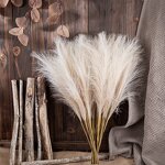 Artificial Pampas Grass Manufacturer - 2022 Best Selling Natural Real Beige for Home Decor