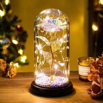 Galaxy Rose Manufacturer - Bella Y Bestia in Glass Dome for Valentine's Day Mother's Day Gift