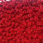 Artificial Flower Wall Manufacturer - CM-FW011 Custom 8*8ft Red Rose for Wedding Stage Backdrop