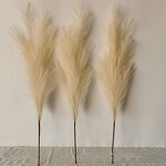 Artificial Pampas Grass Manufacturer - Hot Sale for Wedding Flowers Decoration