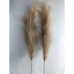 Artificial Pampas Grass Manufacturer - Hot Sale for Wedding Flowers Decoration