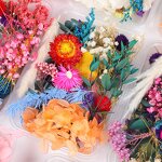 Dried Flower Mix Manufacturer - High Quality Natural for Herbarium Epoxy Resin Candle