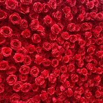 Artificial Flower Wall Manufacturer - CM-FW011 Custom 8*8ft Red Rose for Wedding Stage Backdrop