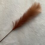 Artificial Pampas Grass Manufacturer - 2022 New Wholesale White Faux for Wedding Decor