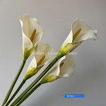 Artificial Calla Lily Manufacturer - Dalian Chermy DC079 Soft Latex White for Wedding Decoration