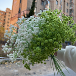 Artificial Baby's Breath Manufacturer - Good Quality Real Touch Latex White for Wedding Arrangement
