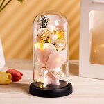Soap Rose Flower Manufacturer - Valentine's Day 2024 Dried Baby Breath Bouquet in Glass with Led Light