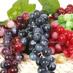 Artificial Pomegranate Manufacturer - Factory Wholesale Foam Realistic Decorative Fruit