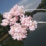 Artificial Cherry Blossom Manufacturer - Wholesale Cheap for Wedding Ceiling Silk Flower