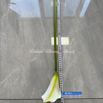 Artificial Calla Lily Manufacturer - Dalian Chermy DC079 Soft Latex White for Wedding Decoration