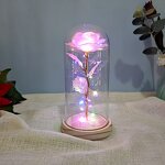 Rose in Glass Dome Manufacturer - Valentine's Day Novelty with Led Light and Gift Box
