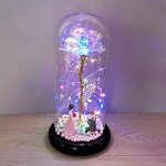 Galaxy Rose Manufacturer - Bella Y Bestia in Glass Dome for Valentine's Day Mother's Day Gift