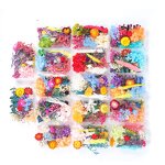 Dried Flower Mix Manufacturer - High Quality Natural for Herbarium Epoxy Resin Candle