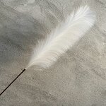 Artificial Pampas Grass Manufacturer - 2022 New Wholesale White Faux for Wedding Decor