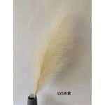 Artificial Pampas Grass Manufacturer - Hot Sale for Wedding Flowers Decoration