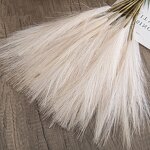 Artificial Pampas Grass Manufacturer - 2022 Best Selling Natural Real Beige for Home Decor