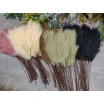 Artificial Pampas Grass Manufacturer - 110cm 22 Forks Large Fluffy for Party Event