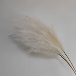 Artificial Pampas Grass Manufacturer - High Quality Faux Boho Large Fluffy Grey Beige for Sale