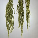 Artificial Hanging Rice Flowers Manufacturer - TH1530 Long Stems White Green Wedding Hang Flower