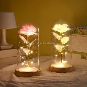 Rose in Glass Dome Manufacturer - Valentine's Day Novelty with Led Light and Gift Box