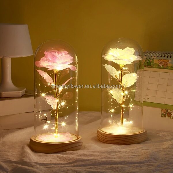 Rose in Glass Dome Manufacturer - Valentine's Day Novelty with Led Light and Gift Box