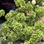 Artificial Hydrangea Manufacturer - Dalian Chermy 3D Real Touch Latex Dark Green for Wedding