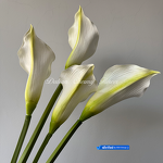 Artificial Calla Lily Manufacturer - Dalian Chermy DC079 Soft Latex White for Wedding Decoration